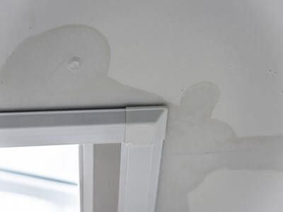 About Black Mold Removal The Villages - black mold removal experts in The Villages